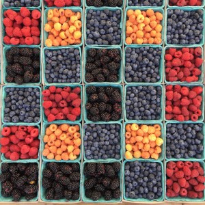 william-felker-fqkrXYMosT4-unsplash william-felker-fqkrXYMosT4-unsplash